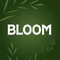 Bloom Essential Oils